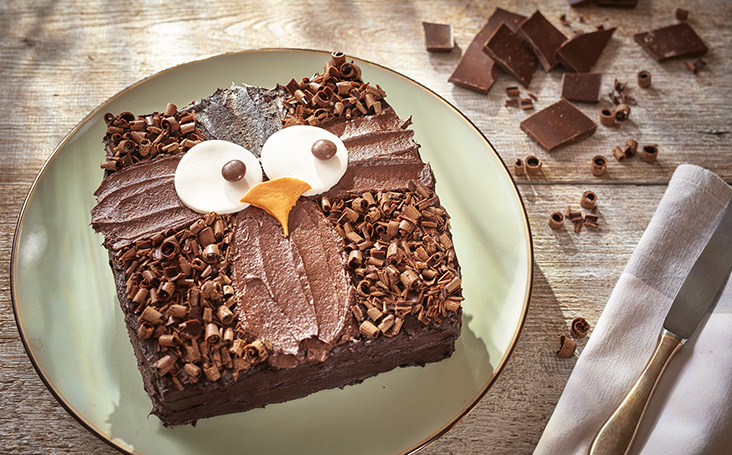 recipe image Owl Cake