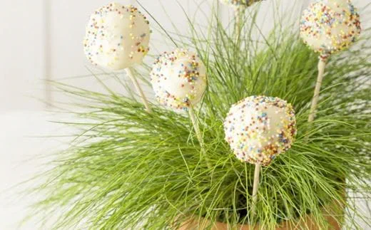 recipe image Easter Cake Pops